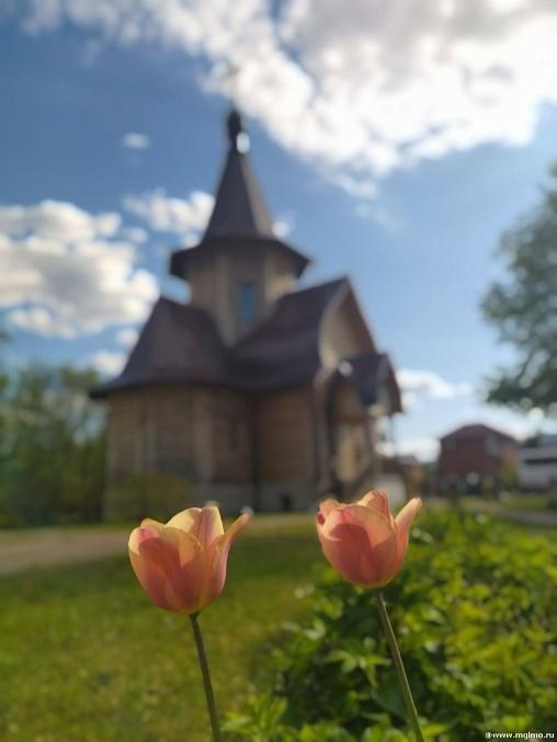 Поездка в Воскресенский Новоиерусалимский монастырь